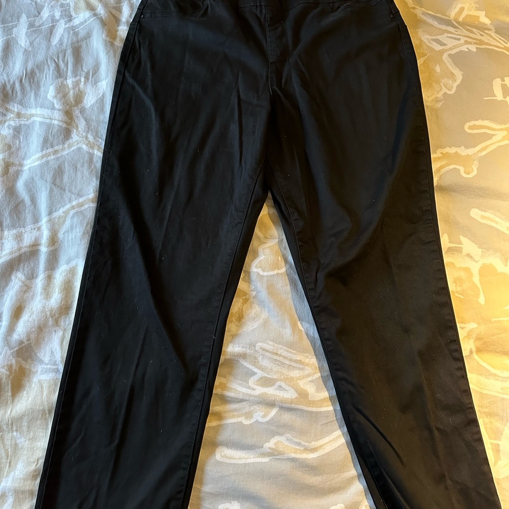 EUC Parasuco pull on Jean-style pants.